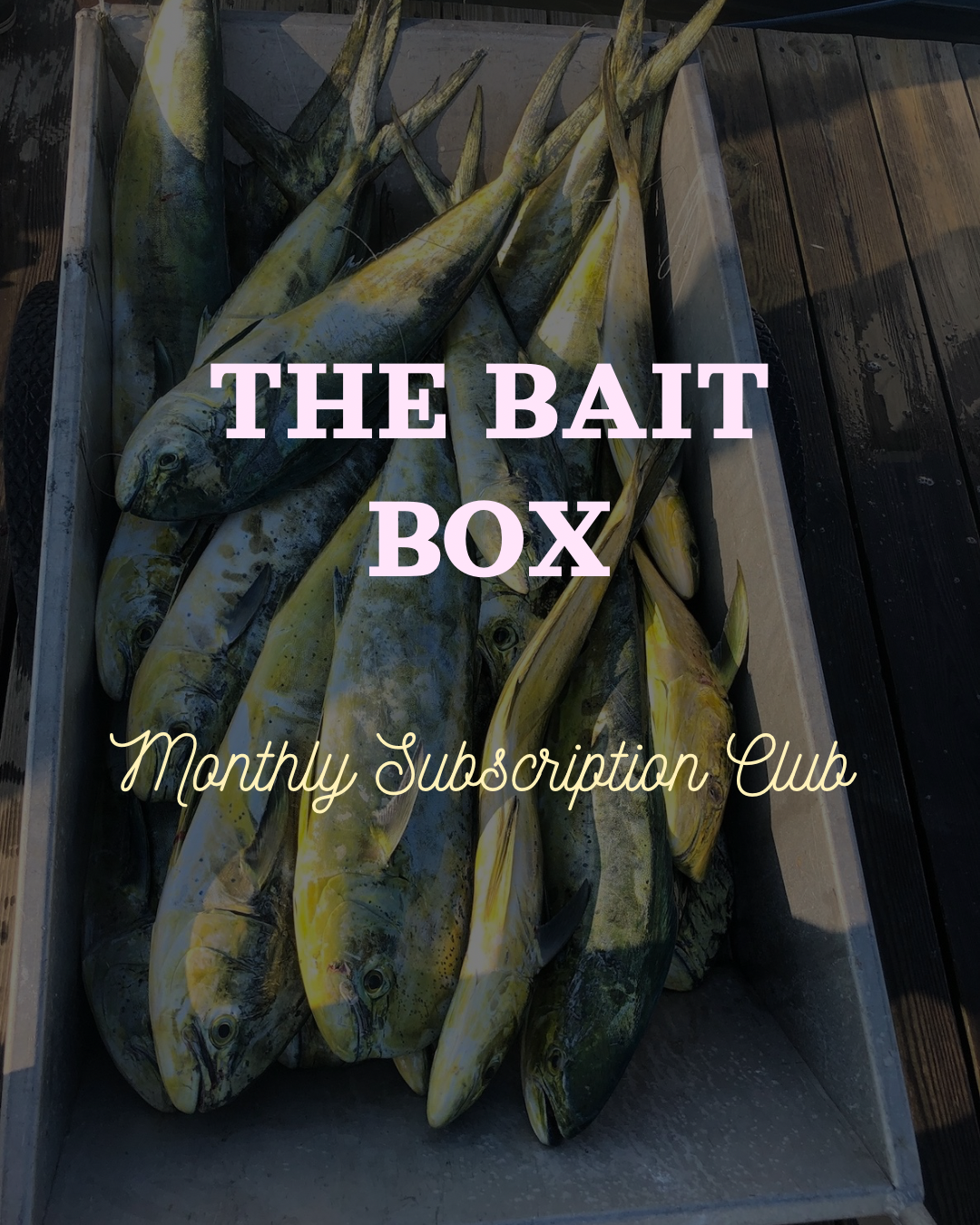 bait box fish bar The Bait Box – Salt Washed Clothing