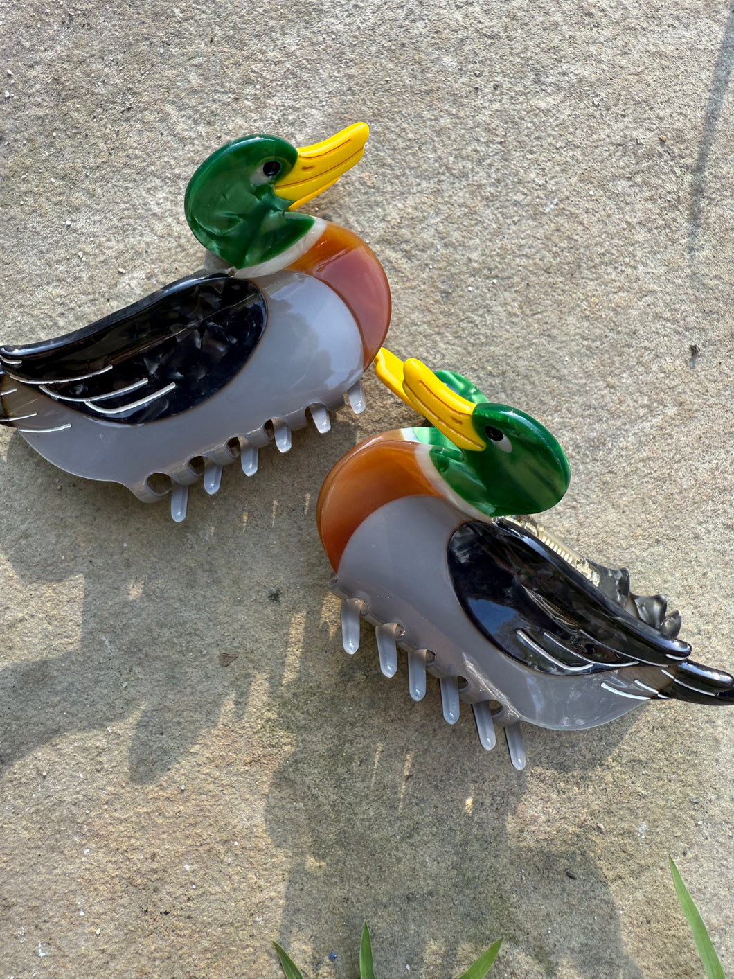 Mallard Claw Clip🦆
